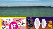 汉字的演变过程ppt,汉字演变历程概述